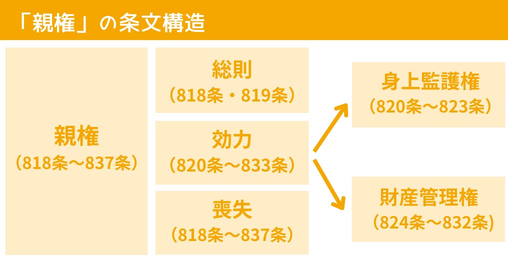 親権の条文構造の図